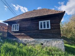 Musca, Alba